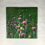 Ecstasy Of St.Theresa - Ecstasy Of Saint Theresa Vinyl 3 LP – Zboží Dáma