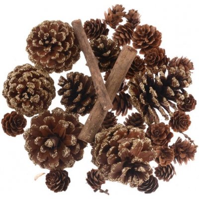 Dekorativní sada 28ks šišky a dřívka, glitr.zlatá – Zboží Dáma