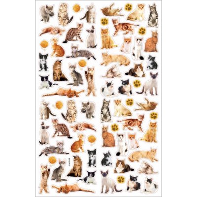 Samolepky Kočky 70 ks Sassy – Zboží Mobilmania
