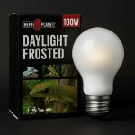 Repti Planet Daylight Frosted 100 W – Hledejceny.cz