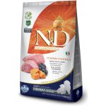 N&D Pumpkin Puppy Medium & Maxi Grain Free Lamb & Blueberry 12 kg – Hledejceny.cz