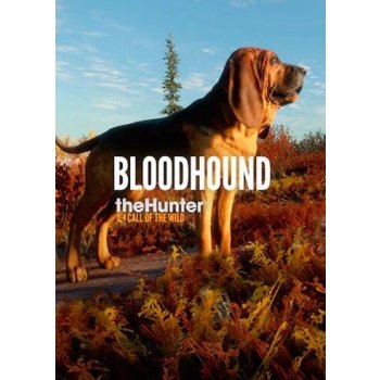 theHunter: Call of the Wild - Bloodhound