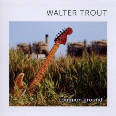 Trout Walter - Common Ground CD – Hledejceny.cz