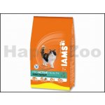 Iams ProActive Health Adult Hairball Care 3 kg – Hledejceny.cz