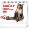 Kalendář Stolový Mačky s menami mačiek 16,5 × 13 cm 2 balení 2024