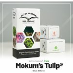 Dutch Passion Mokum's Tulip semena neobsahují THC 5 ks – Hledejceny.cz