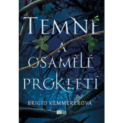 Temné a osamělé prokletí - Brigid Kemmererová