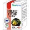 EdenPharma TRIBULUS 150 tablet