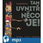 Tam uvnitř něco je - Tomáš Peřina