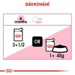 Royal Canin Kitten Instinctive Jelly 12 x 85 g – Hledejceny.cz
