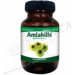 Herball Hills Amlahills amalaki 60 kapslí – Hledejceny.cz