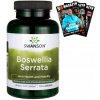Doplněk stravy Swanson Boswellia Serrata 500 mg 120 kapslí