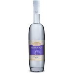 Fleret Distillery Slivovice 40% 0,5 l (holá láhev) – Zboží Dáma