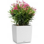 LECHUZA CUBICO COTTAGE Bílá 30 cm – Hledejceny.cz
