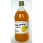 Moštěnický sirup Ananas 0,7 l – Zbozi.Blesk.cz