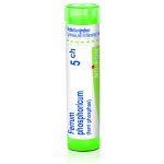 FERRUM PHOSPHORICUM POR 5CH GRA 1X4G – Hledejceny.cz