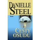 Cesty osudu Steel Danielle