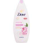 Dove Relaxing Care sprchový gel Renewing 250 ml + antiperspirant sprej Powder Soft 150 ml dárková sada – Zboží Mobilmania