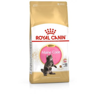 Royal Canin Maine Coon Kitten 2 x 10 kg – Hledejceny.cz