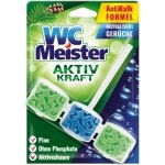 WC Meister Aktiv Kraft vůně lesa WC blok, 45 g – Zboží Mobilmania