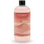 Esteban Paris Parfums náplň do difuzéru Terre d´ocre karité 500 ml – Hledejceny.cz