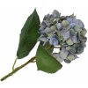Květina Hortenzie - Hydrangea modrá/zelená V56 cm