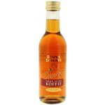 Douwe Egberts Sirup do kávy Karamel 250 ml – Zboží Dáma