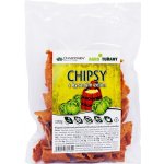 Damodara Luštěninové chipsy Kysané zelí 100 g – Hledejceny.cz
