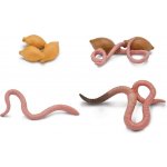 Animal Life životní cyklus žížala – Hledejceny.cz