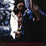 Lenny Kravitz - ARE YOU GONNA GO MY WAY LP – Hledejceny.cz