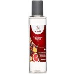 Vodnář Aroma Fruit Aqua 125 ml – Zboží Dáma