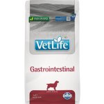 Vet Life Dog Gastrointestinal 2 kg – Zboží Mobilmania