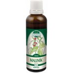 Naděje Černý rybíz maliník tinktura z pupenů rostlin 50 ml – Hledejceny.cz