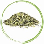 Koňské bylinky Jitrocel kopinatý list Plantago lanceolata L. 1 kg – Zboží Dáma
