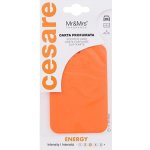 Mr&Mrs Fragrance Cesare Scented Cards Energy – Hledejceny.cz