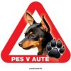 Autovýbava Grel nálepka na plech pozor pes v autě pražský krysařík
