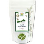 Salvia Paradise Mladý zelený ječmen BIO 500 g – Hledejceny.cz