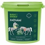 Root&Snoot Zažívání pro koně sypaná směs 1 kg – Hledejceny.cz