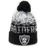 New Era kulich NFL Sport Knit Cuff Oakland Raiders Team Color – Hledejceny.cz