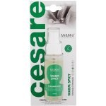 Mr&Mrs Fragrance Cesare Spray Warm Spicy – Hledejceny.cz