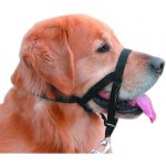 Nobby Ohlávka nylon Easy Leader vel. 4 - rotvajler doga – Zbozi.Blesk.cz