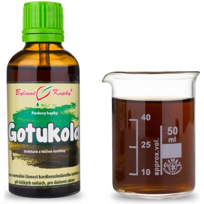 Bylinné kapky Gotukola tinktura Pavlovy bylinné kapky 50 ml – Hledejceny.cz
