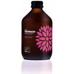 Vigo Kombucha mango a maracuja bio 330 ml – Zboží Dáma