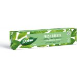 Dabur bazalková 100 ml – Hledejceny.cz