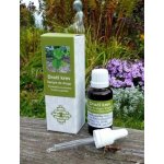 Dračí krev Croton lechleri kapky 30 ml – Hledejceny.cz