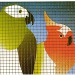 Pletivo na voliéry pozinkované 10/10/0,8 mm – Sleviste.cz