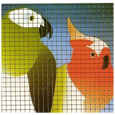 Pletivo na voliéry pozinkované 10/10/0,8 mm – Sleviste.cz