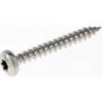 vrut univerzální 4,5*30mm NEREZ A2 půlkulatá hlava TORX20 – Hledejceny.cz
