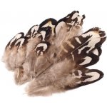 Bažantí peří (5ks) šedobéžová, délka 4 - 10 cm – Sleviste.cz