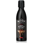 PAN ocet Balsamico creme s medem 250 ml – Zboží Dáma